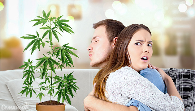 Как марихуана действует на человека