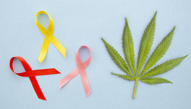 Марихуана и рак Раковые заболевания