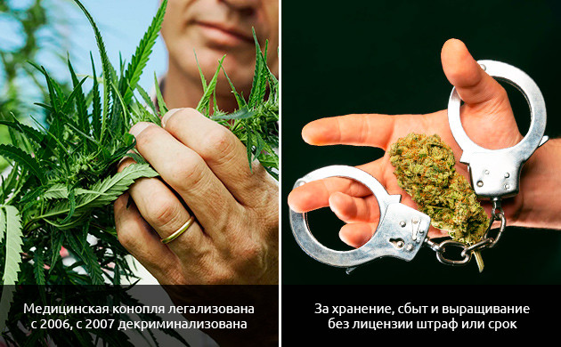 Закон и марихуана в Италии