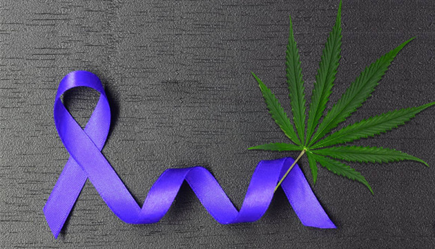 Марихуана и рак мужских органов Рак у мужчин