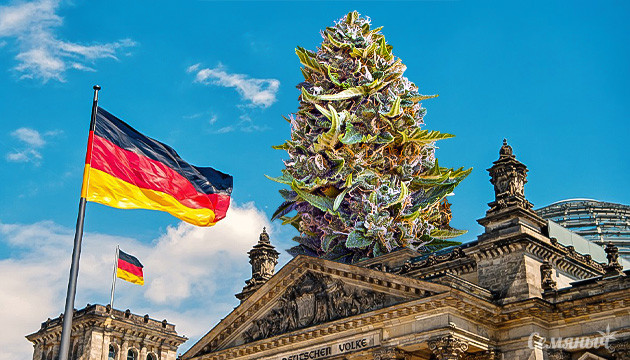 Конопля в Германии