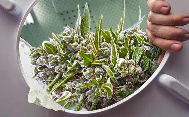 Эффективные способы преодоления тошноты от конопли