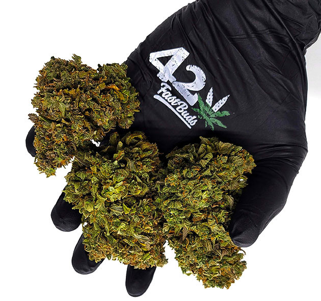 Шишки CBD Auto 20:1