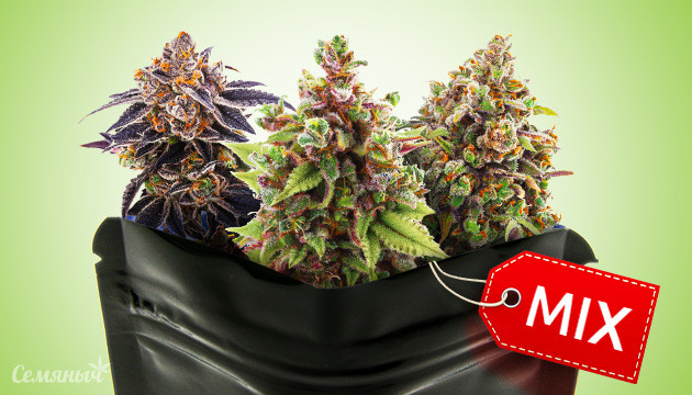 Новые миксы от Семяныча Миксы от Семяныча