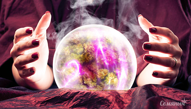 Использование каннабиса для связи с потусторонним