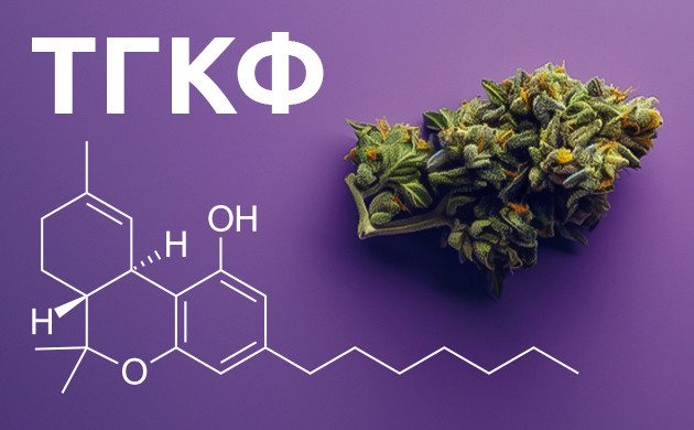 ТГКФ: каннабиноид с усиленным воздействием на экс Каннабиноид с уникальной молекулярной структурой