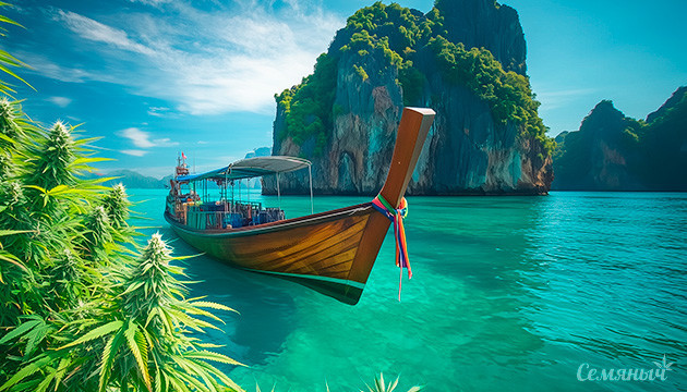 Марихуана в Таиланде