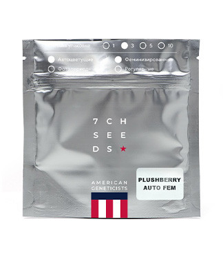 Plushberry Auto fem (7CH American)