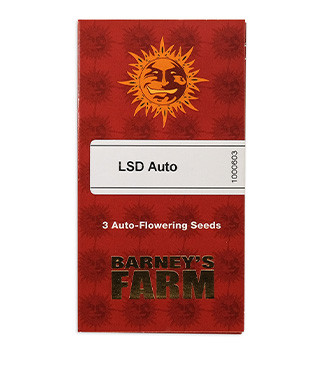 LSD Auto fem (Barney's Farm)