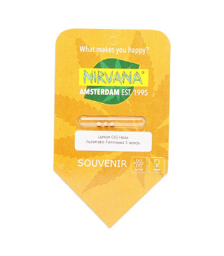 Lemon OG Haze Automatic fem (Nirvana Seeds)