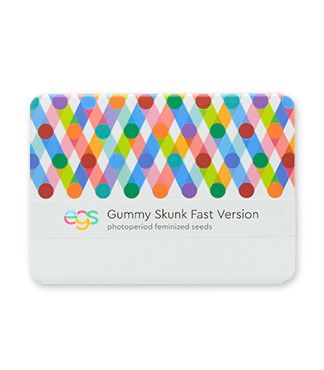 Gummy Skunk Fast Version fem (Easy Grow Seeds)