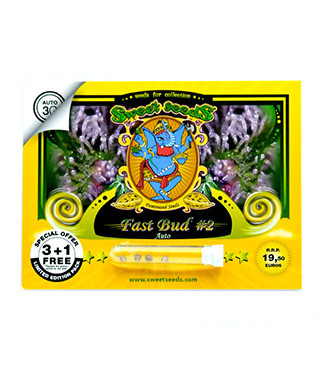 Fast Bud #2 Auto fem (Sweet Seeds)