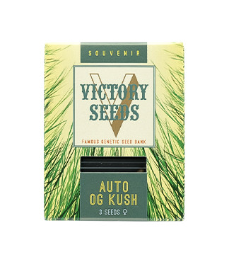 Auto OG Kush fem (Victory Seeds)