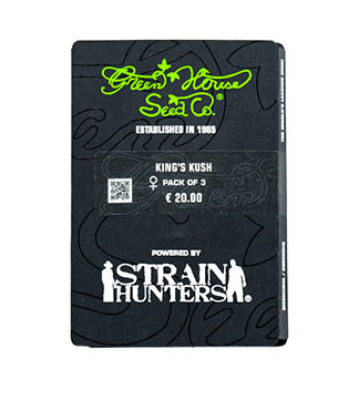 King’s Kush fem (GHS)