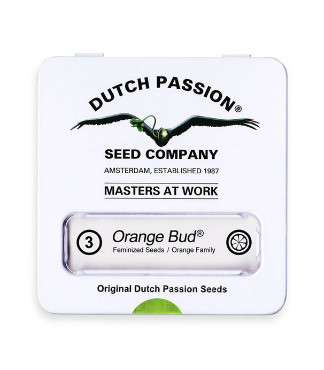Orange Bud fem (Dutch Passion)