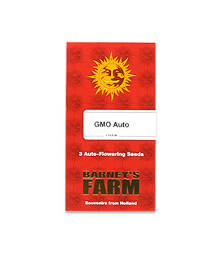 GMO Auto fem (Barney's Farm)