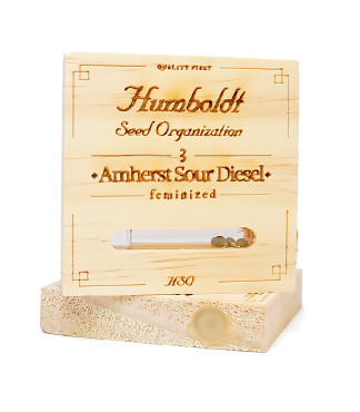 Amherst Sour Diesel fem (Humboldt Seeds)