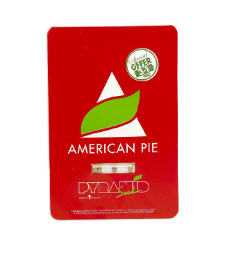 American Pie fem (Pyramid Seeds)