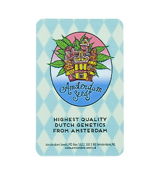 Haze Auto fem (Amsterdam Seeds)
