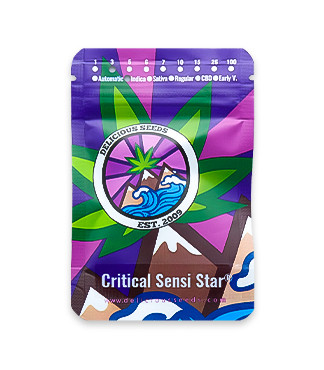 Critical Sensi Star fem (Delicious Seeds)