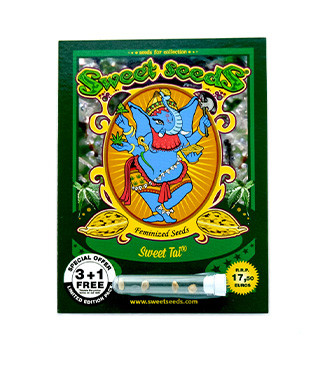 Sweet Tai fem (Sweet Seeds)
