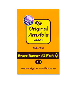 Bruce Banner #3 Fast fem (Original Sensible Seeds)