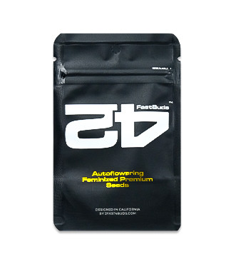 Z-Up Auto fem (FastBuds)