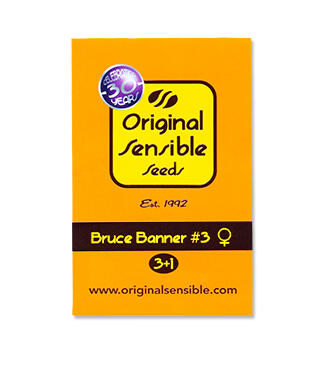 Bruce Banner #3 fem (Original Sensible Seeds)