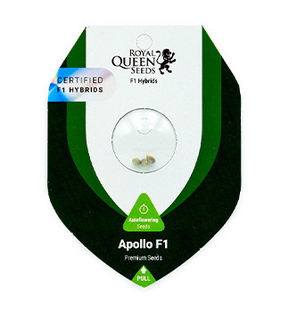 Apollo F1 Auto fem (RQS)