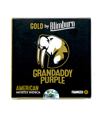 Grandaddy Purple fem (Blimburn Seeds)