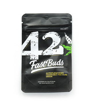 Strawberry Pie Auto fem (FastBuds)