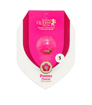 Power Flower fem (RQS)