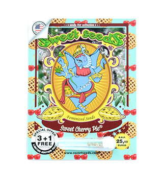 Sweet Cherry Pie fem (Sweet Seeds)