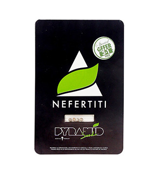 Nefertiti fem (Pyramid Seeds)