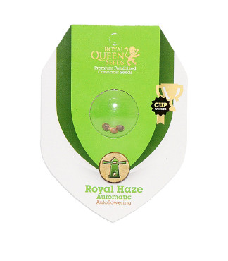 Royal Haze Automatic fem (RQS)