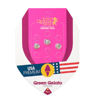 Green Gelato fem (RQS)