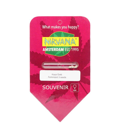 Семена сорта Hindu Kush (Kaya Gold) fem (Nirvana Seeds)