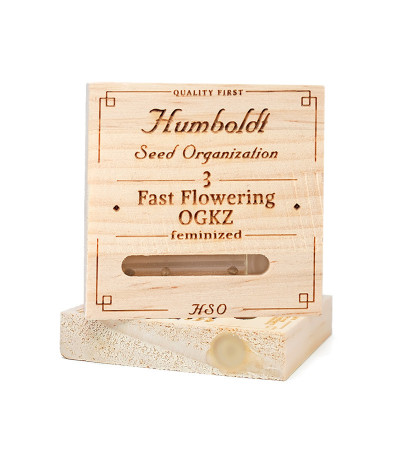 Семена сорта Fast Flowering OGKZ fem (Humboldt Seeds)