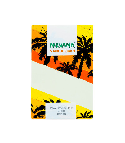 Семена сорта Pure Power Plant fem (Nirvana Seeds)