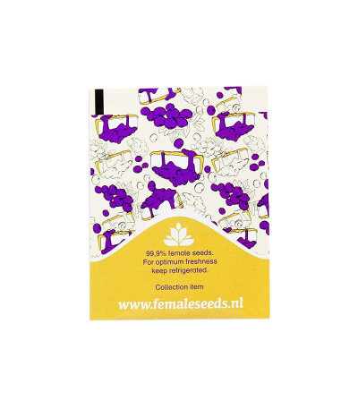 Семена сорта Blueberry Cheesecake fem (Female Seeds)