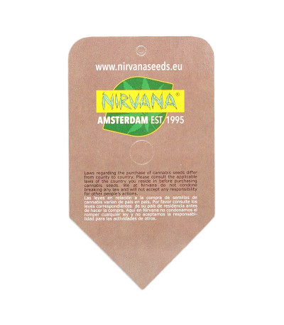 Семена сорта White Rhino reg (Nirvana Seeds)