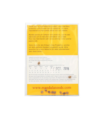 Семена сорта Rishi Kush reg