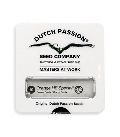 Сорт конопли Orange Hill Special regular (Dutch Passion)