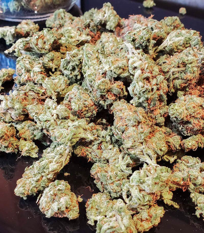 Семена сорта Bruce Banner Auto (Sweet Seeds)