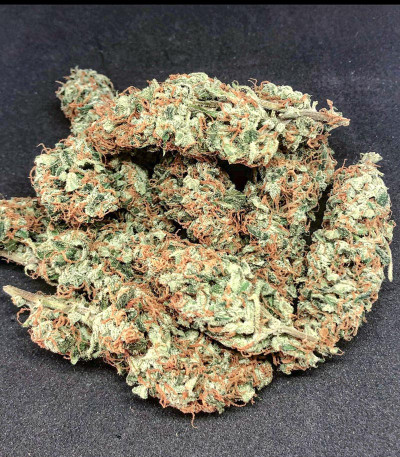 Семена сорта Wedding Cheesecake Auto fem (FastBuds)