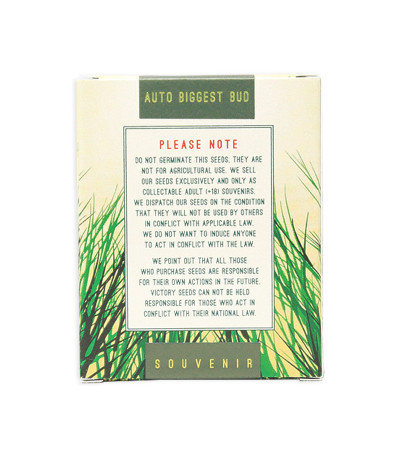 Семена сорта Auto Biggest Bud fem (Victory Seeds)