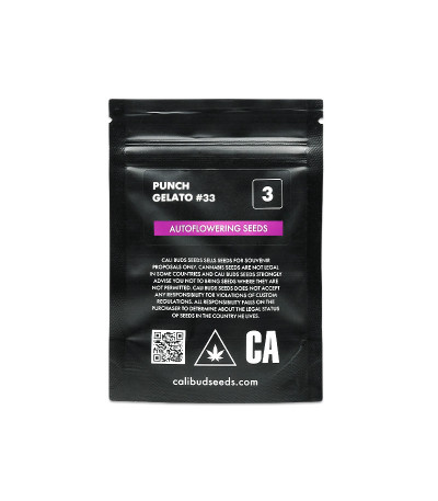 Семена сорта Punch Gelato #33 Auto fem (Cali Buds Seeds)