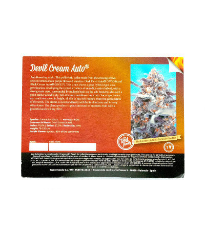 Семена сорта Devil Cream Auto fem (Sweet Seeds)
