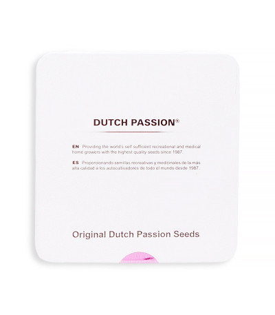 Семена сорта Auto Mazar fem (Dutch Passion)