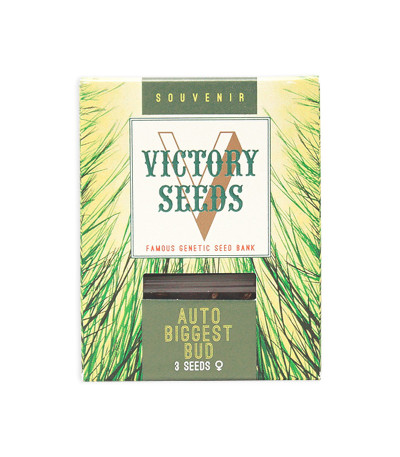 Семена сорта Auto Biggest Bud fem (Victory Seeds)